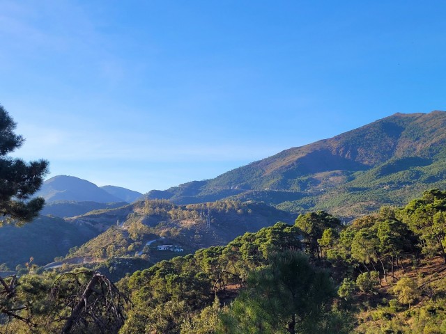 Parcelle, La Zagaleta, R4570105