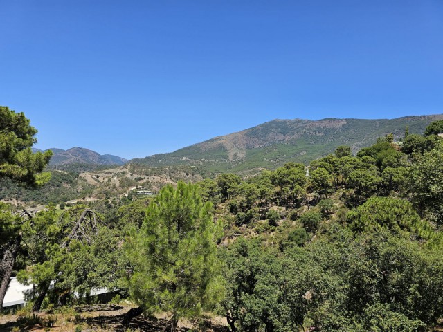 Parcelle, La Zagaleta, R4570105