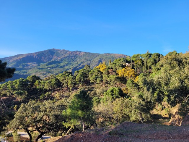 Parcelle, La Zagaleta, R4570105