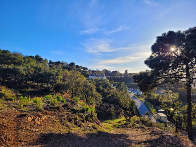 Parcelle, La Zagaleta, R4570105