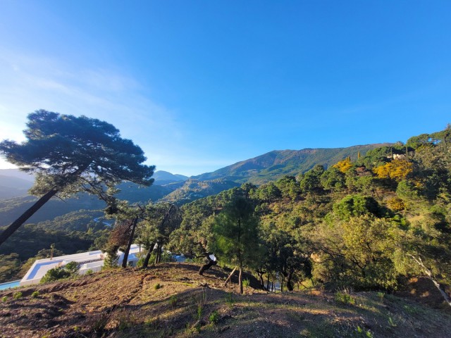 Parcelle, La Zagaleta, R4570105