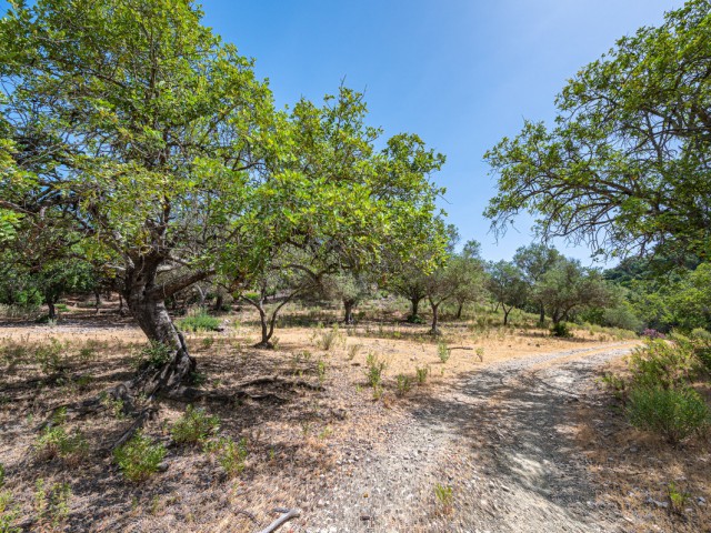 Grundstück, La Zagaleta, R4835560