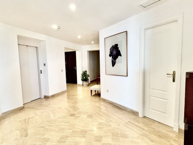 Penthouse in Río Real