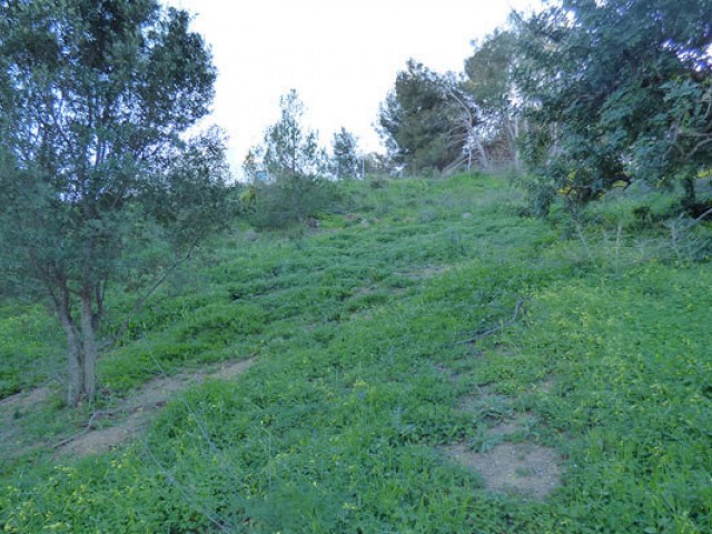 Perceel, Benalmadena Pueblo, DVG-RSMP0013