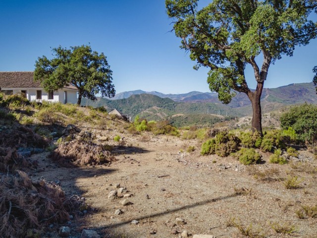  Tontti La Zagaleta