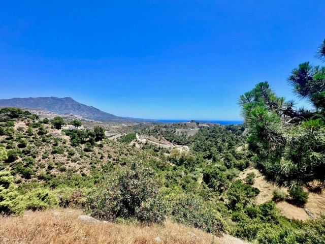 Terreno en El Madroñal