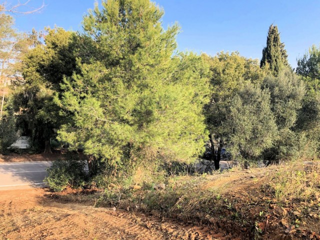 Perceel, Sotogrande Alto, R5085598