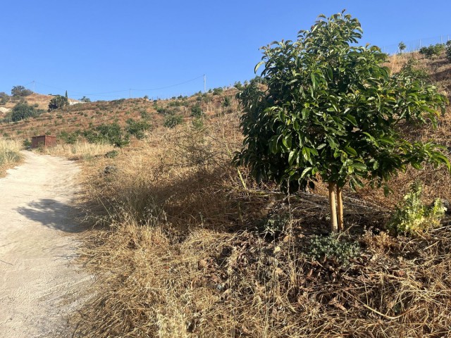  Terreno en Alhaurín el Grande