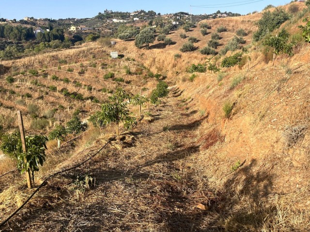  Terreno en Alhaurín el Grande