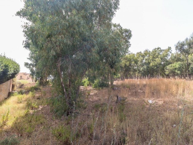  Parcelle à Manilva