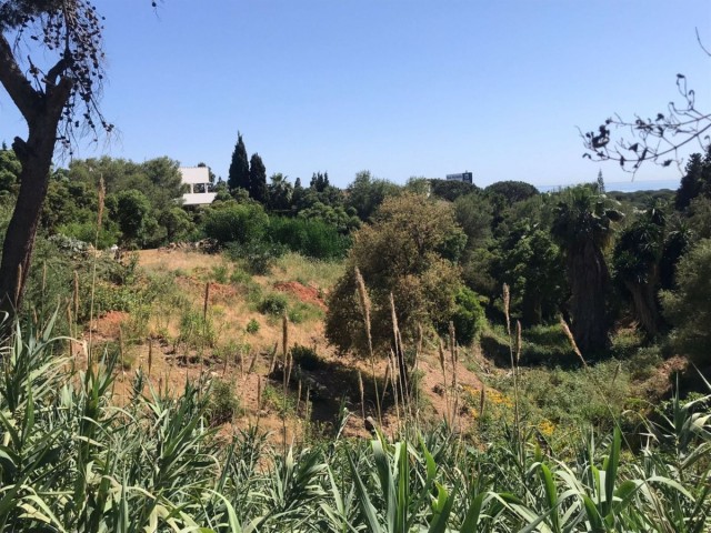  Perceel in Hacienda Las Chapas