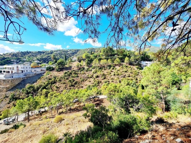 Terreno, El Madroñal, R5195473