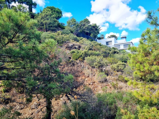  Terreno en El Madroñal