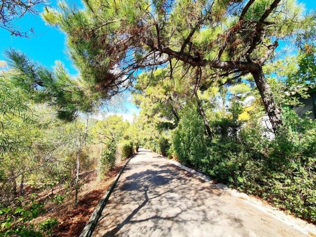  Terreno en El Madroñal