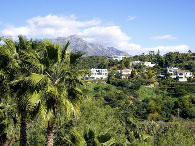 Apartamento con 2 Dormitorios  en La Quinta