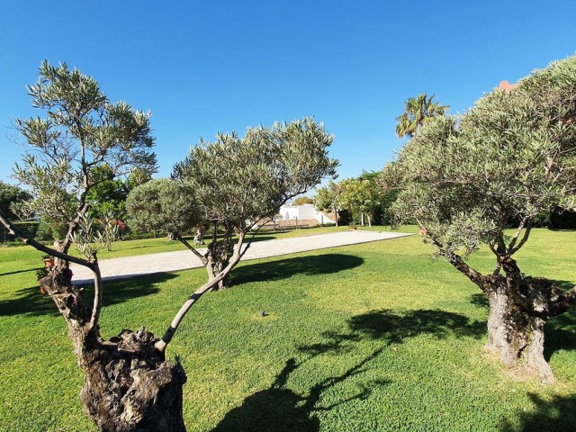 Apartamento con 2 Dormitorios  en Benalmadena Costa