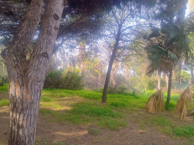 Terreno, Hacienda Las Chapas, R4802929