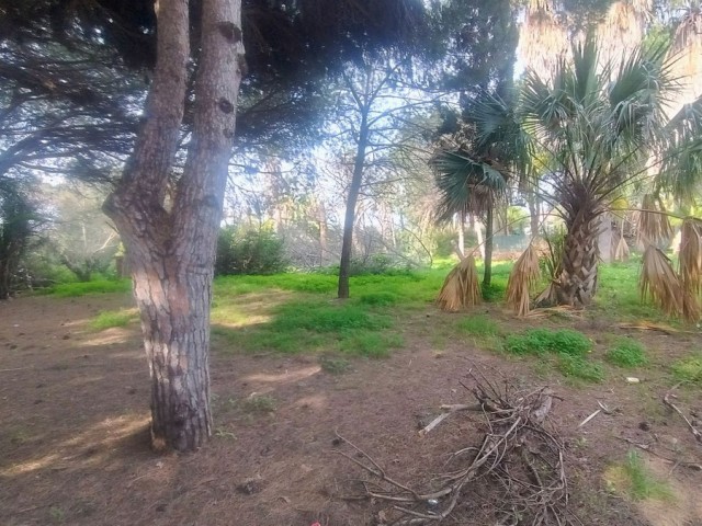 Terreno, Hacienda Las Chapas, R4802929