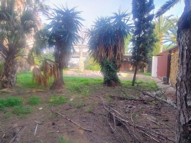 Terreno, Hacienda Las Chapas, R4802929