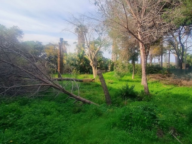 Terreno, Hacienda Las Chapas, R4802929