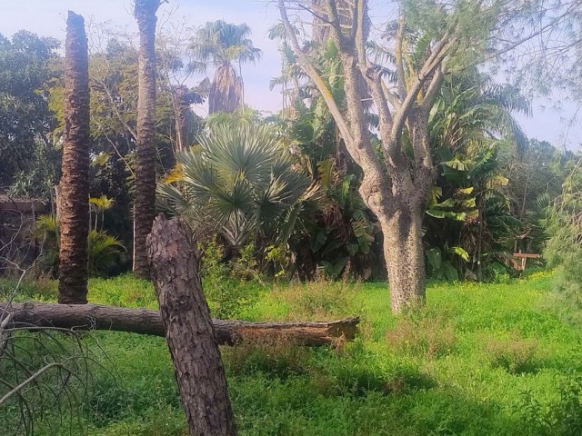  Perceel in Hacienda Las Chapas