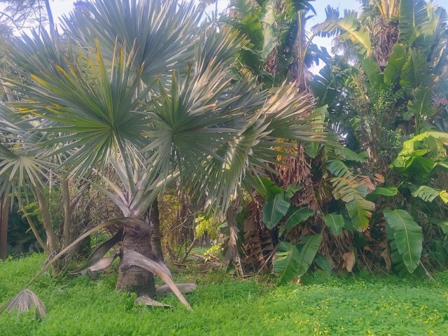  Perceel in Hacienda Las Chapas