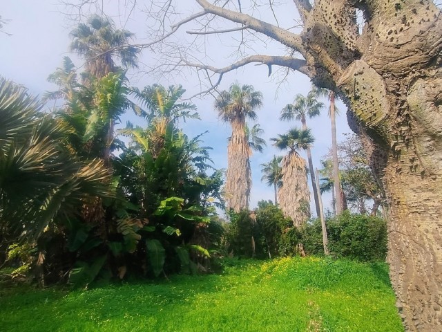  Perceel in Hacienda Las Chapas