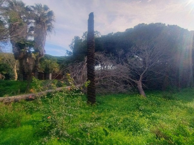  Perceel in Hacienda Las Chapas
