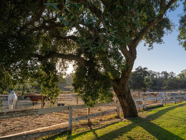 Terreno, San Roque Club, R5201941