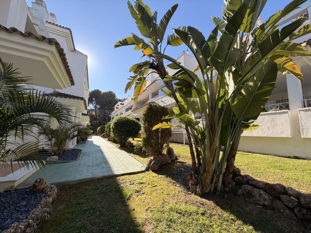 Apartamento con 2 Dormitorios  en Río Real