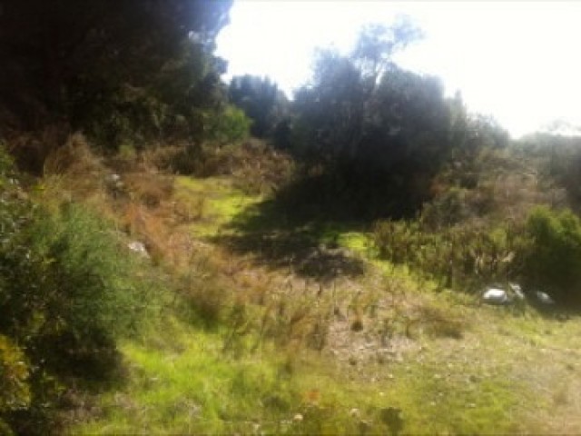 Plot, Elviria, R4227502