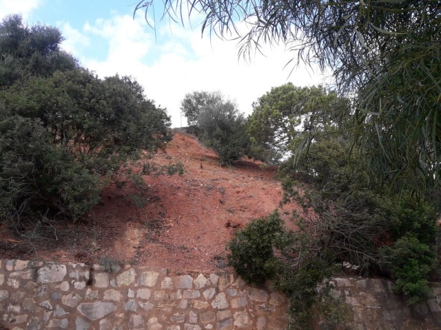 Terreno, Las Chapas, R5311849