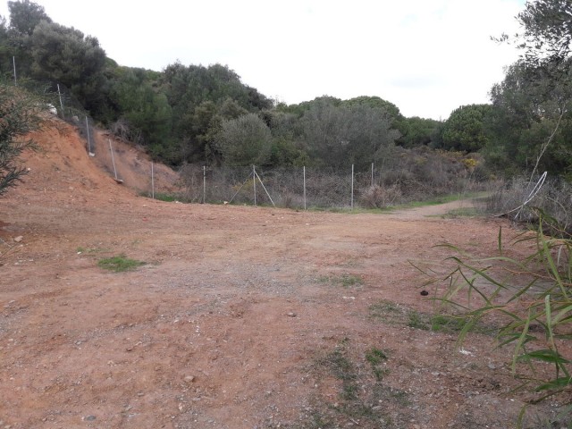 Terreno, Las Chapas, R5311849