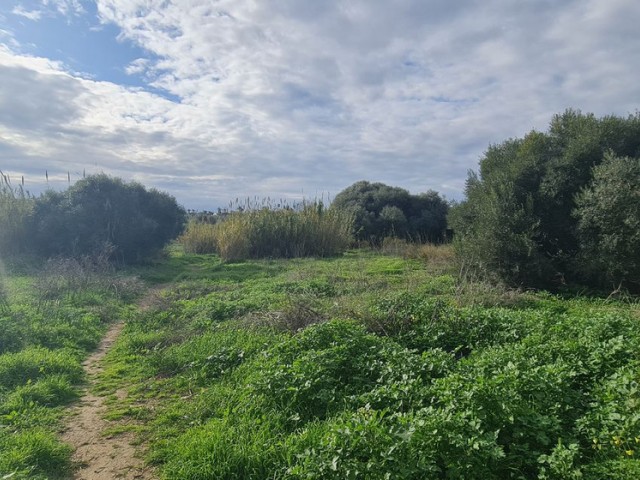 Terreno, Campo Mijas, R5287228