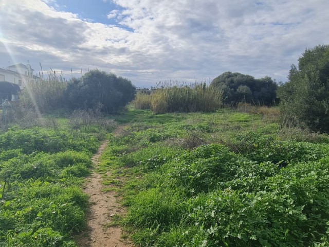 Terreno, Campo Mijas, R5287228