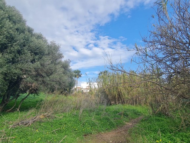 Terreno, Campo Mijas, R5287228