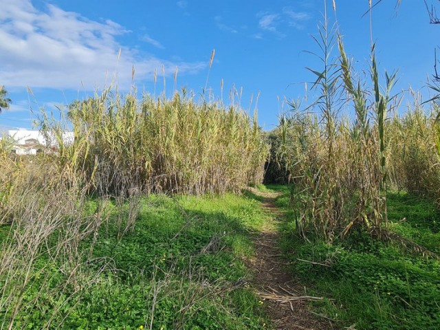  Terreno en Campo Mijas