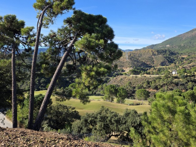 Parcelle, La Zagaleta, R5308516