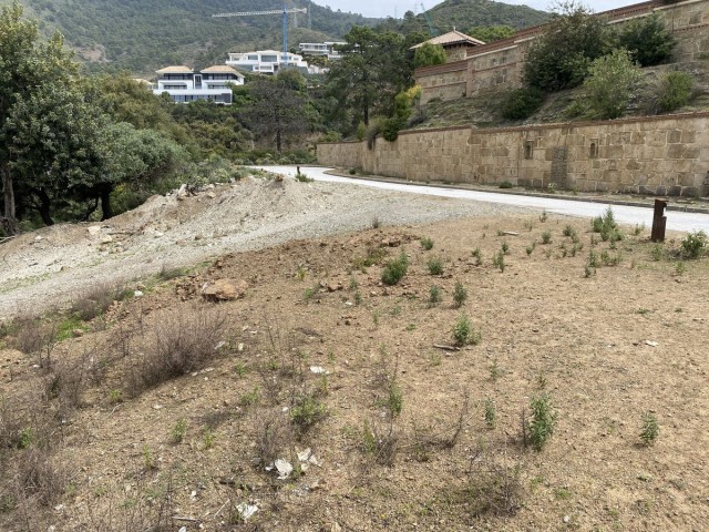 Parcelle, La Zagaleta, R5357494