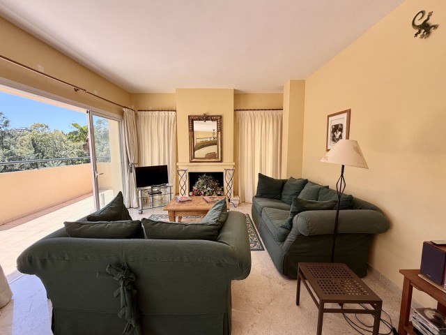 Penthouse in Río Real