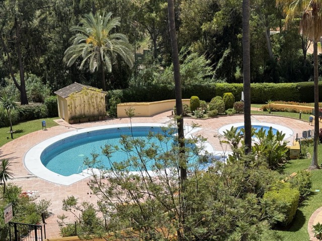 Penthouse in Río Real