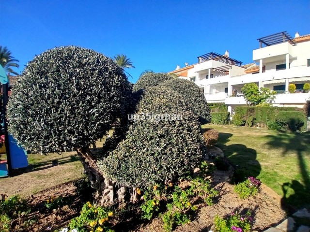 2 Bedrooms Apartment in Estepona