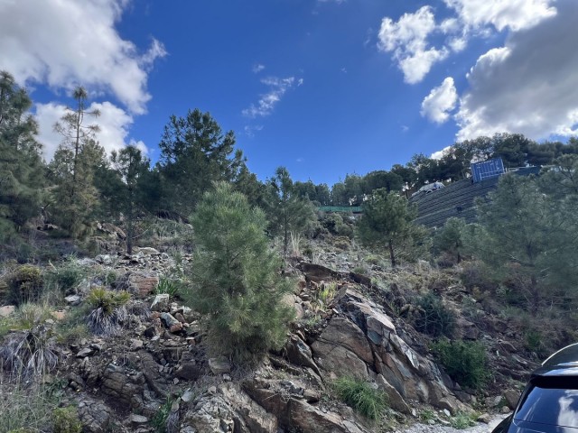 Terreno, El Madroñal, R5431321