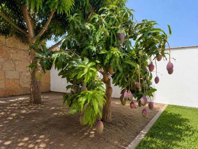 3 Slaapkamer Villa in Estepona