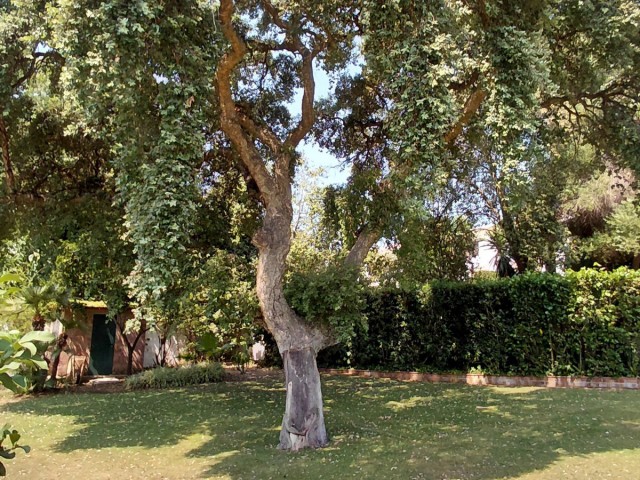 Villa avec 5 Chambres  à Sotogrande Costa