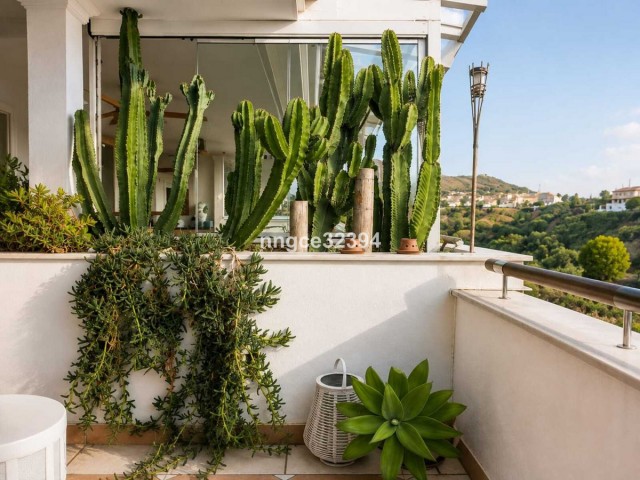 2 Bedrooms Apartment in Sierra Blanca