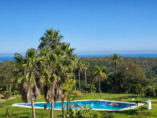 Apartamento con 3 Dormitorios  en San Roque Club