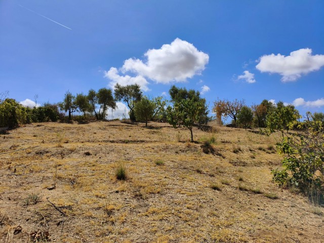 2 Makuuhuoneen Huvila La Cala