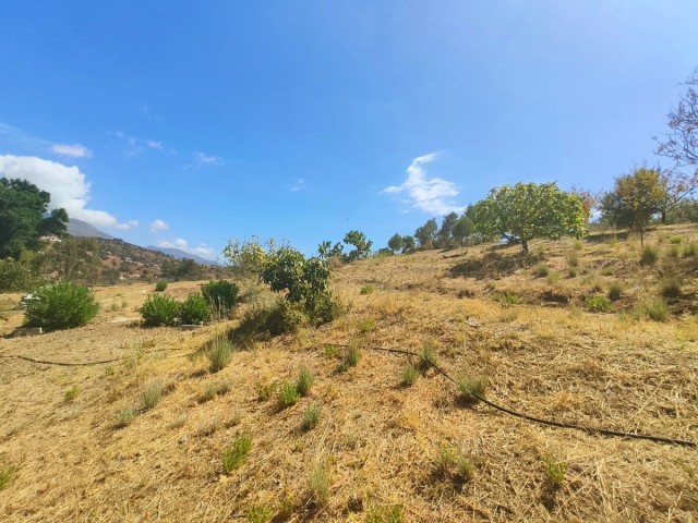 2 Makuuhuoneen Huvila La Cala