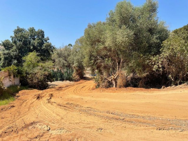  Plot in El Rosario
